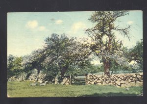 SOUDERTON PENNSYLVANIA ROCK WALL FARM 1914 PERKASIC PA. VINTAGE POSTCARD