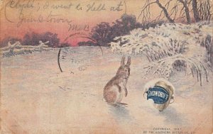 Postcard Advertising Snowdrift 1907 Southern  Cotton Oil