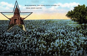 Texas State Capitol & State Flower Blue Bonnets
