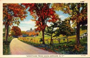 New York Greetings From Union Springs Curteich