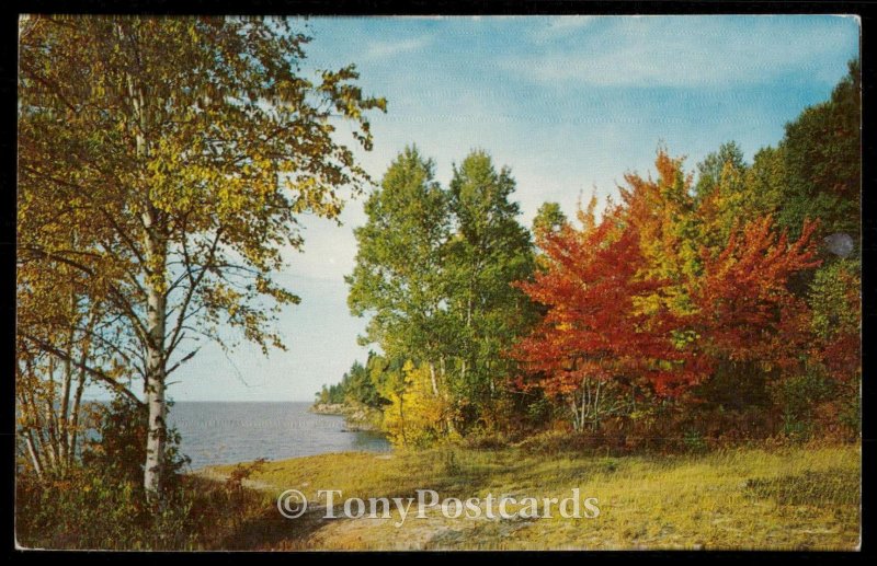 Beautiful Autumn Along The Lake