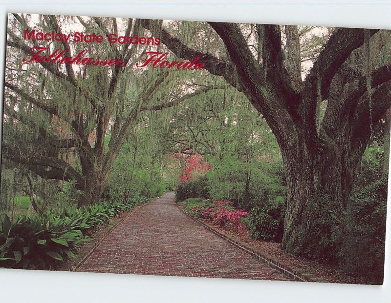 Postcard Maclay State Gardens, Tallahassee, Florida