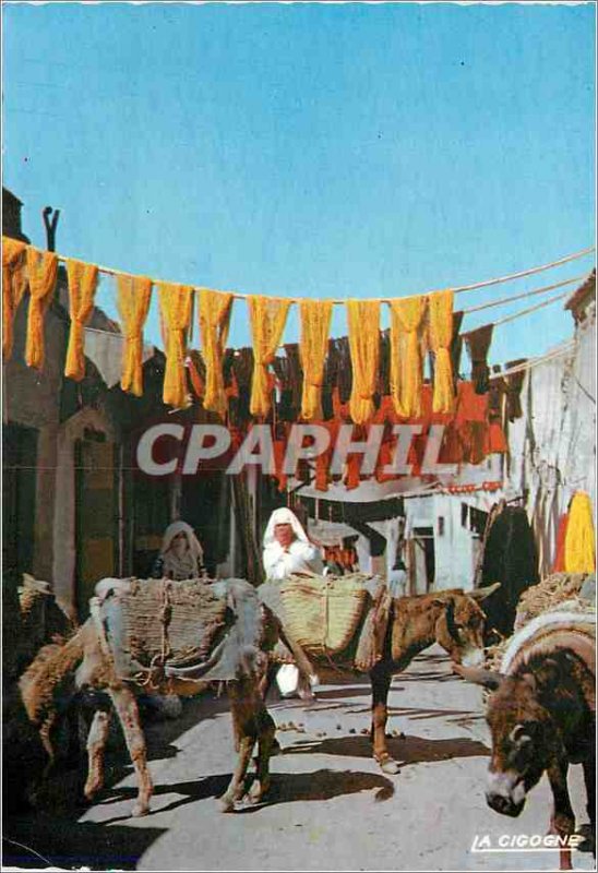 Modern Postcard Scenes et Types Souk of the Dyers Donkey Donkey