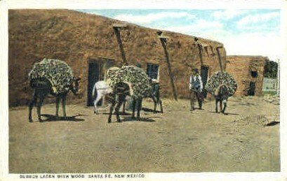 Burros Laden with Wood in Santa Fe, New Mexico