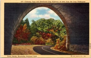 Postcard Great Smokey Mountains - Chimney Tops Newfound Gap from Loop Underpass