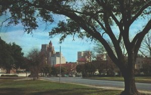 USA Skyline of Houston From Sam Houston Park Houston Texas Chrome Postcard 04.16