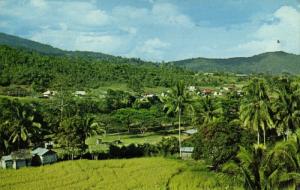 british north borneo, SABAH RANAU, Rural Kampong (1979) Postcard