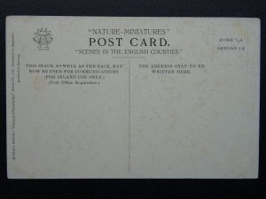Abaty Tyndryn TINTERN ABBEY River Severn / Wye c1905 Postcard by Misch & Stock