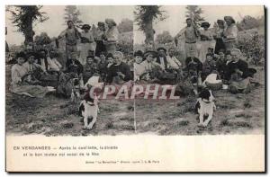 Old Postcard Wine Harvest After picking dinette and good doggie is also the f...