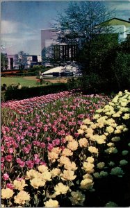 Vtg Atlanta Georgia Hurt Park Tulip Time Fountains Municipal Auditorium Postcard