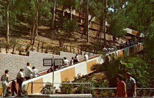 California San Diego Zoo Balboa Park Moving Stairway