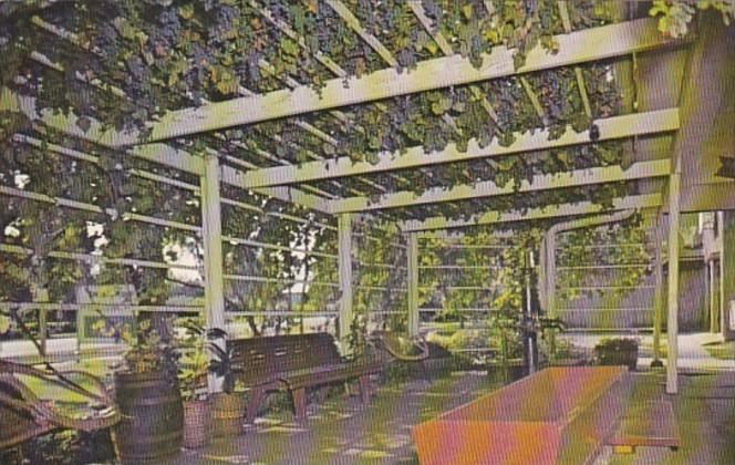 Iowa Amana Ackeman Winery 100 Year Old Grape Arbor