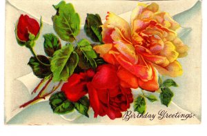 Roses, Birthday Greeting Postcard, Nova Scotia
