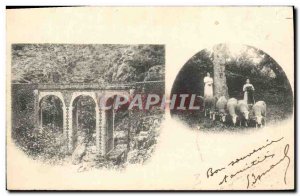 Old Postcard Folklore Sheep Breeding