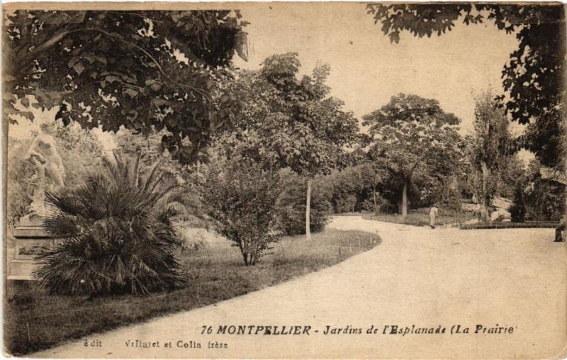 CPA MONTPELLIER - Jardins de l'Esplanade (La Prairie) (518699)