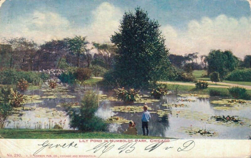 USA Lily Pond in Humboldt Park Chicago 03.76