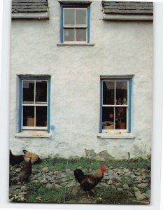 Postcard Small farm-house, Ireland