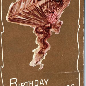 c1910s Cobb Shinn Victorian Woman Hat Veil Birthday Greetings Postcard Drawn A86