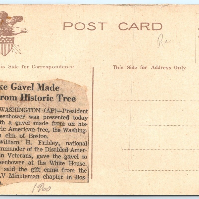 c1910s Cambridge, MA Washington Elm Postcard Newspaper Clipping Eisenhower A116