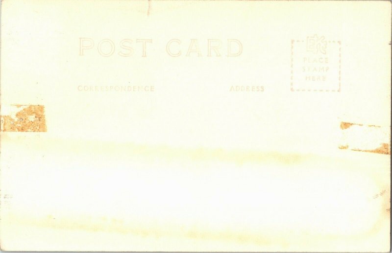 RPPC View Overlooking Lake Pend, Oreille ID Vintage Postcard G19