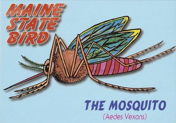 Maine State Bird The Mosquito Maine