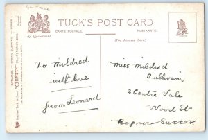 c1910's Anthropomorphic Cat Kittens Spring Cleaning Thiele Signed Tuck Postcard