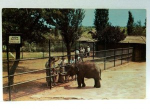 Oklahoma City Oklahoma Lincoln Park Zoo Baby Elephant Postcard 