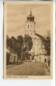 461081 Poland Belarus Slonim Bernardine Cathedral Vintage postcard