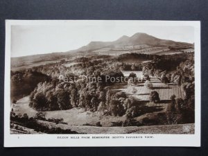 Scotland: EILDON HILLS from Bemersyde SCOTT'S FAVOURITE VIEW c1917 RP Postcard