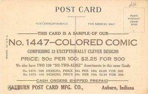 Colored Comic, Auburn Post Card Mfg Auburn, IN, USA Postcard