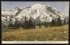 Mt. Rainier Washington Department of Conservation 