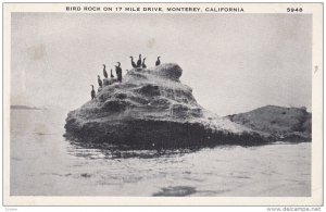 MONTEREY, California, 1900-1910's; Bird Rock