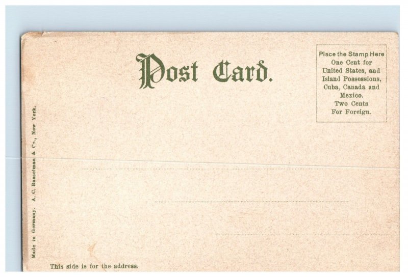 1906 Bowery And Elevated Road, New York. Postcard P225E