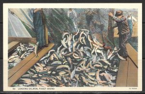 Washington, Puget Sound- Loading Salmon - [WA-034]