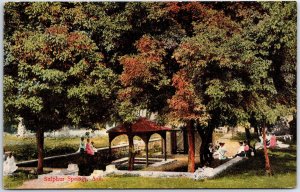 VINTAGE POSTCARD SCENES UNDER THE TREES AT SULPHUR SPRINGS ARKANSAS DATED 1917