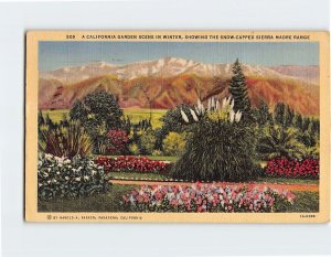Postcard A California Garden Scene In Winter, Showing The Sierra Madre Range, CA