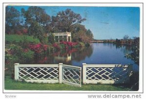 Orton Plantation Gardens, Wilmington, North Carolina, PU-1963