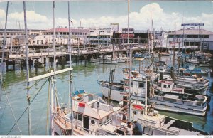 SAN FRANCISCO, California, 1950-1960s ; Fisherman's Wharf