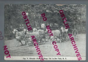 1909 CROSS COUNTRY TRAVELER Walker GOAT CART Cap. V. Edwards SAN DIEGO NEW YORK