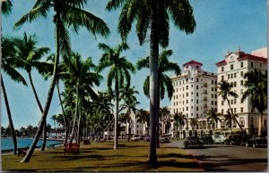 USA Tropical Flagler Drive Along Lake Worth Palm Beaches Florida Postcard 03.77