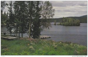 Scenic view,  Babine Lake,  North from Hwy 16,  Vancouver,  B.C.,  Canada,  4...