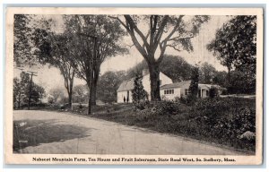 c1920 Nobscot Mountain Farm Tea House Fruit Salesroom South Sudbury MA Postcard