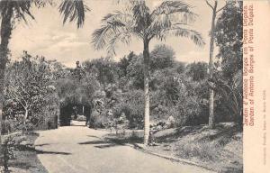 Ponta Delgada Portugal birds eye view Garden of Antonio Borges antique pc Z29963 