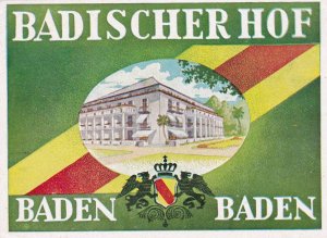 Germany Baden Baden Badischer Hof Vintage Luggage Labe sk3719