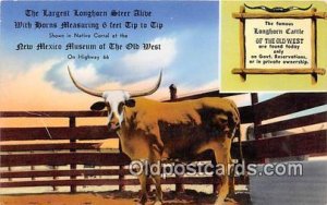 Texas Longhorn, New Mexico Museum of the Old West Albuquerque, NM, USA Unused 