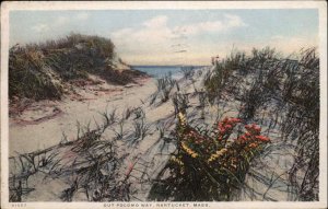 Nantucket Massachusetts MA Out Pocomo Way Detroit Pub Vintage Postcard