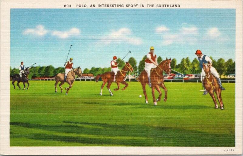 Polo 'An Interesting Sport in the Southland' Players Horses Unused Postcard F1