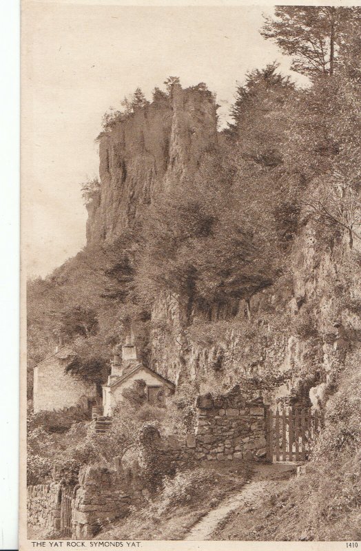 Herefordshire Postcard - The Yat Rock - Symonds Yat   A8901