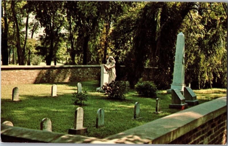 Family Cemetery Plot, Federal Hill My Old Kentucky Home State Park Postcard M20