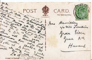 Genealogy Postcard - Family History - Hamilton - Grove Road - Havant   Y975